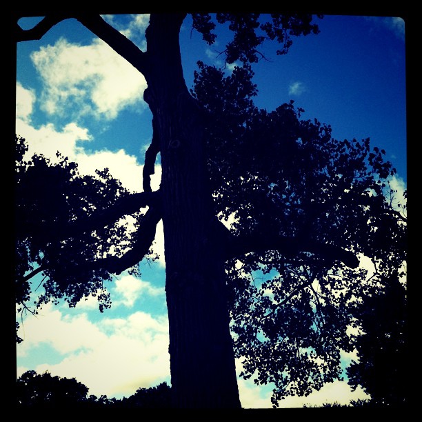 duurzame marketing zonder bomen