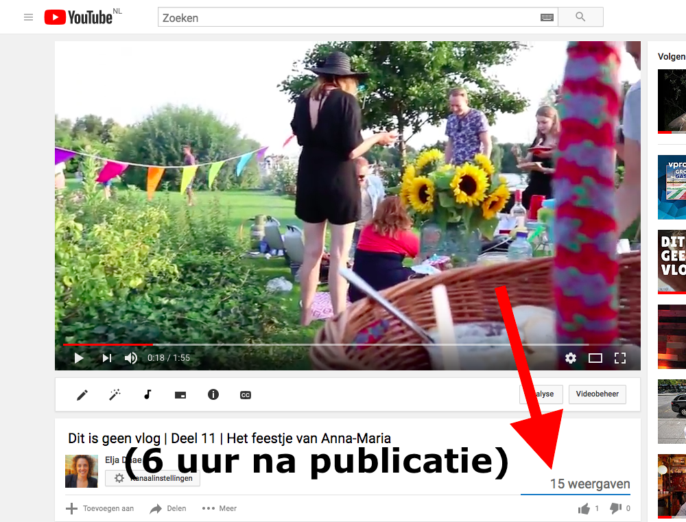 vlog elja daae